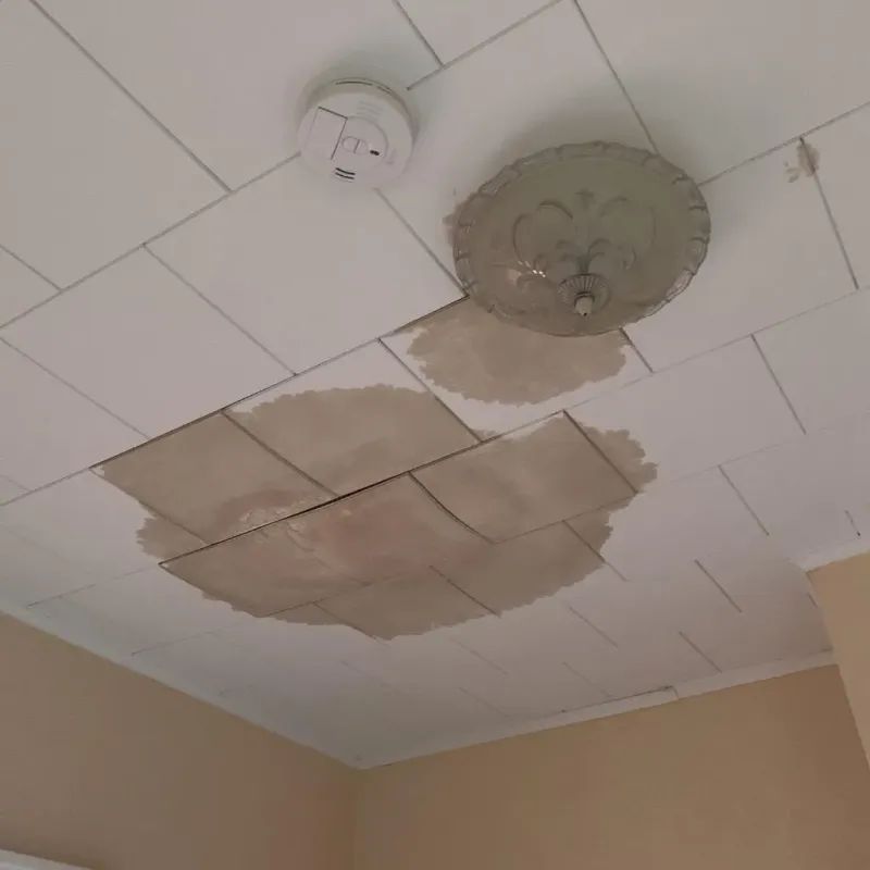 Ceiling Water Damage Repair in Winnebago, MN