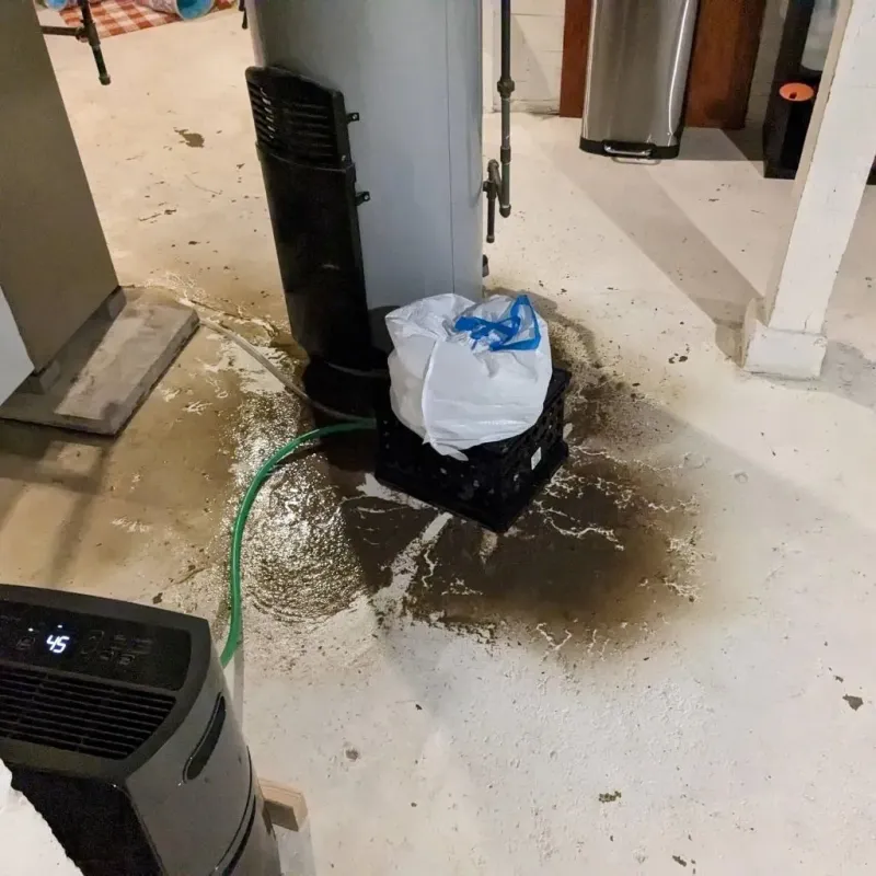 Sewage Backup Cleanup Service in Winnebago, MN